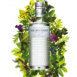 Botanist Islay Dry Gin 22 Foraged Island Botanicals 70cl & Gift Box (1) Glass