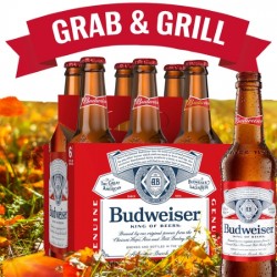 COLD Beer Budweiser Lager King Of Beers Bottle 6 + 1FREE 330ml