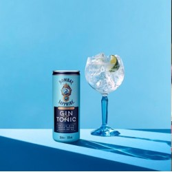Bombay Sapphire Gin Mixed With Tonic Created With Vapour Infused London Dry Gin Cans 250ml